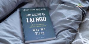 Nội dung cuốn sách Sao Chúng Ta Lại Ngủ