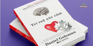Nội dung cuốn sách Trí Tuệ Xúc Cảm