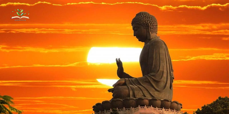 Khi bạn đủ thương, bạn sẽ không muốn thắng ai nữa